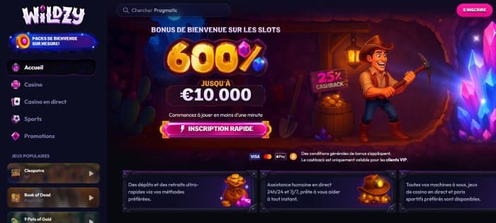 Wildzy Casino - Aperçu