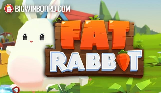 Fat Rabbit